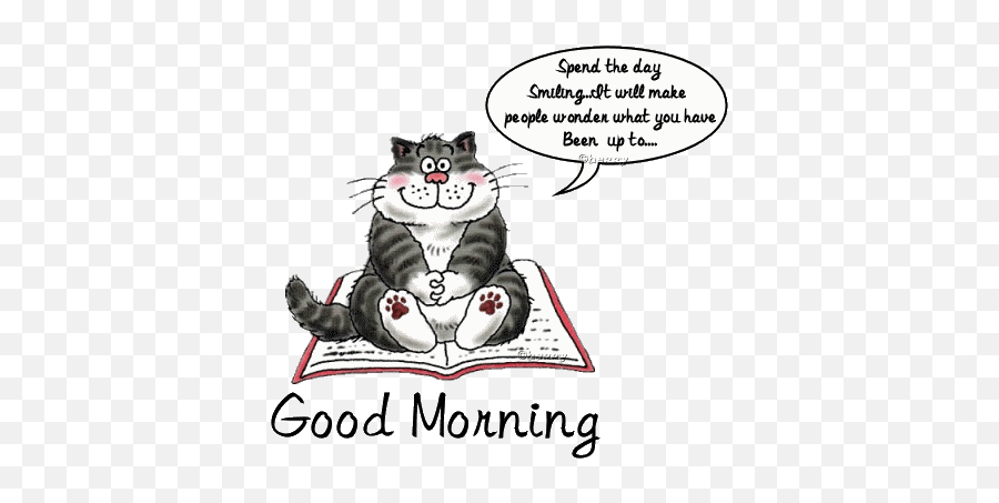 Good Morning - Good Morning Crazy Cat Ladys Emoji,Emotion Pets Cherry The Cat