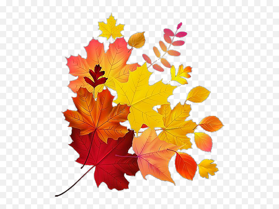 Maple Leaves Colorfull Colorful Sticker By Ebrahim - Leaf Autumn Leaves Png Emoji,Maple Leaf Emoji Png