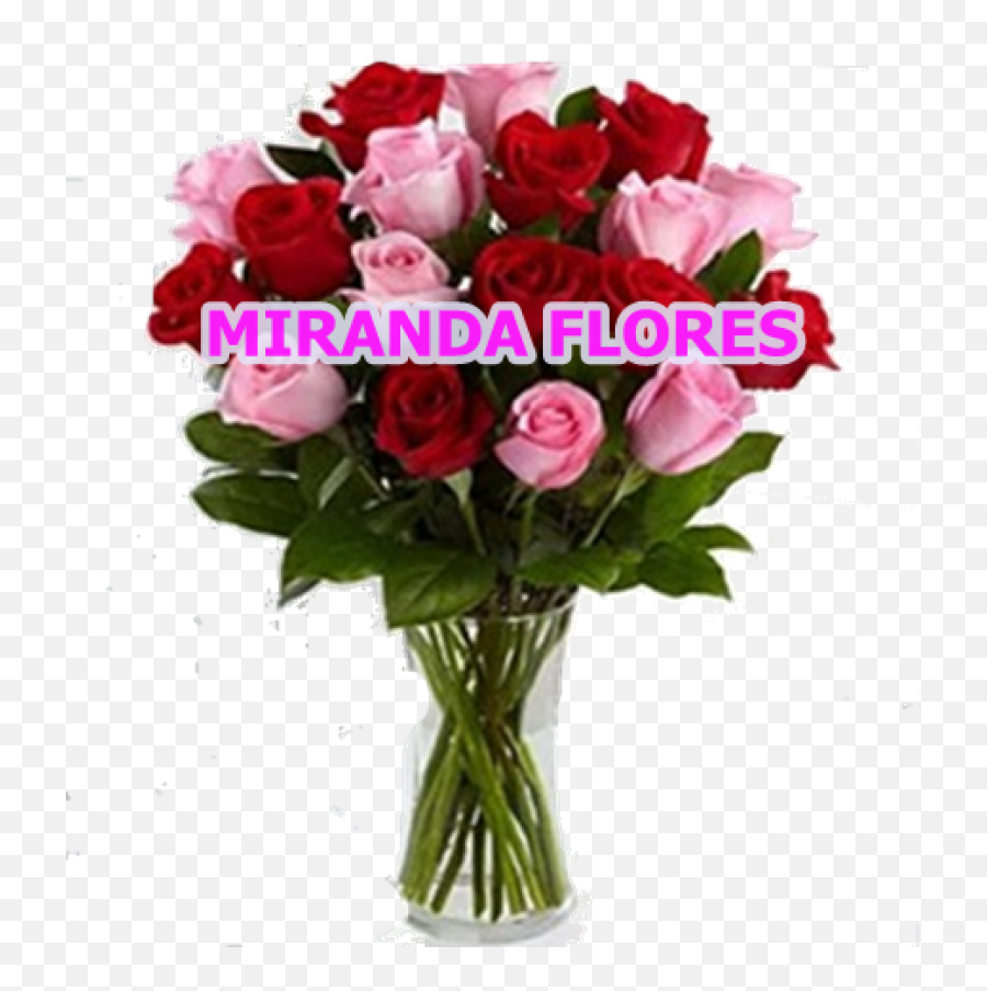 Rosas Cor Rosa Vaso De Vidro - Baby Pink And Red Rose Emoji,Coroas De Folres Para Velorio Em Emoji