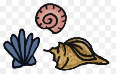 Tense Revision A2 Baamboozle Emoji,Summer Emojis Sea Shell