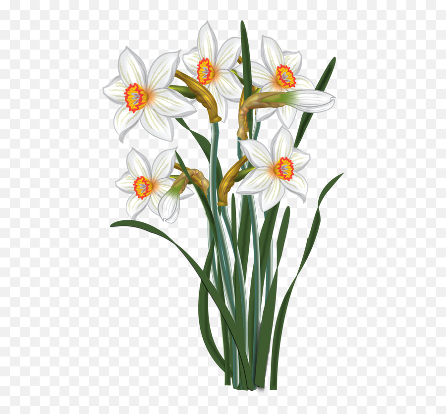 Download Svg Transparent Library Flowers Vector Narcissus Emoji,Daffodil Emoticon Facebook