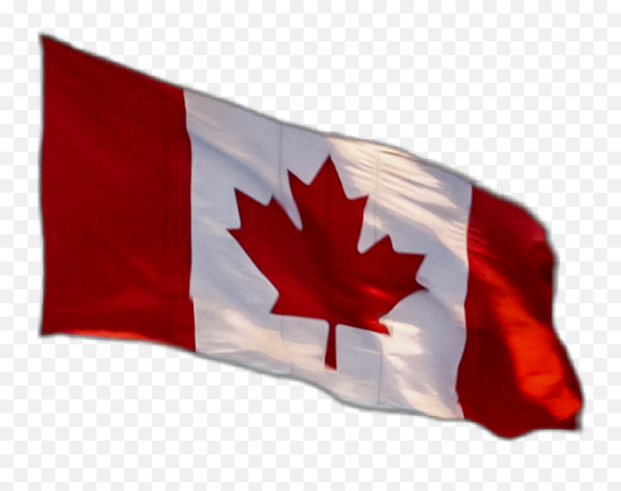 Canadianflag Canadaflag Flag Sticker By Amanda Chau - Canada Day Emoji,Canada Leaf Emoji