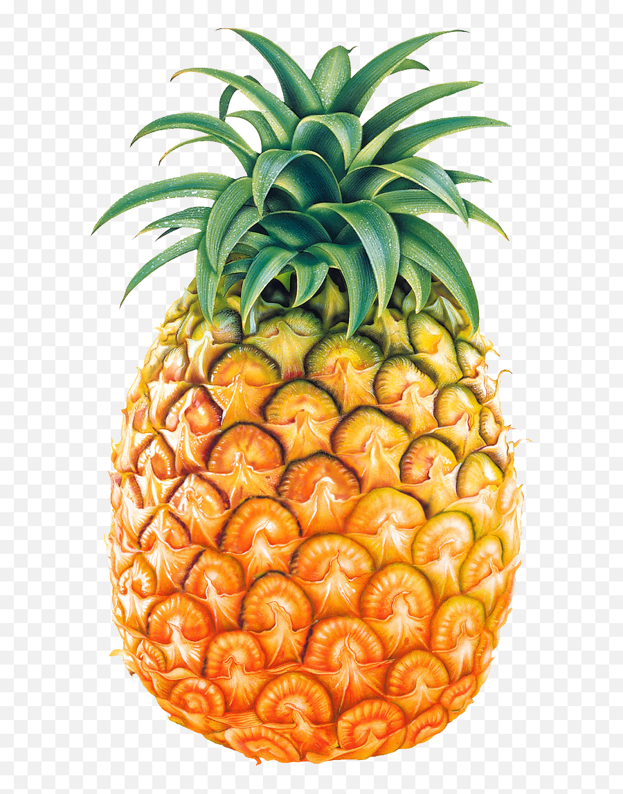 Pineapple Clipart Eye Pineapple Eye - Pineapple Clipart Emoji,Pineapple Emoji