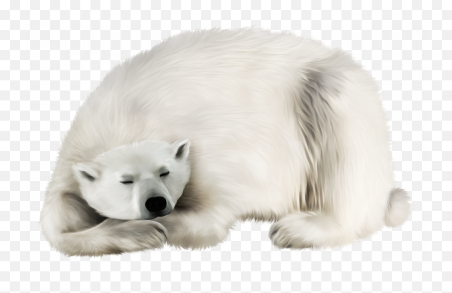 Bear Png Transparent - Polar Bear Aesthetic No Background Emoji,Sleepy Bear Emoticons Png