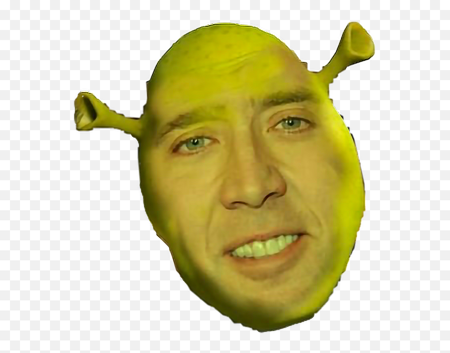 Download Hd Shrek Boi Transparent Png Image - Nicepngcom Nicolas Cage Shrek Png Emoji,Boi Emoji Png