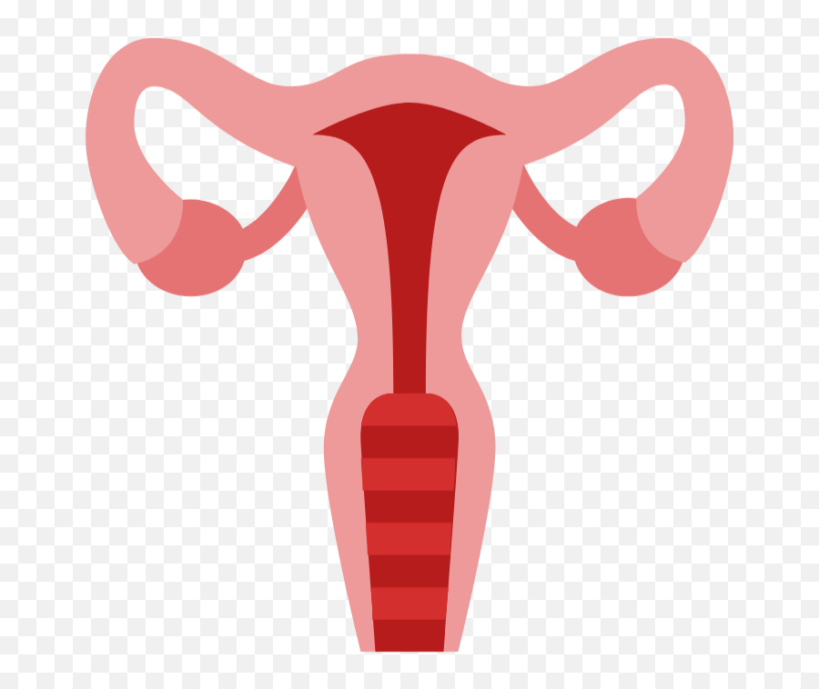 Carers Guide To Menstruation Mobilisecare - Uterus Clipart Png Emoji,Emotions Related To Menstrual Cycle