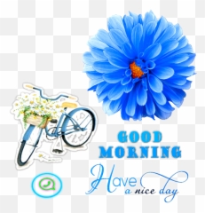 Morning Stickers Good Afternoon Wastickerapps 2021 App - Flower Emoji,Emojis For Talkatone Android