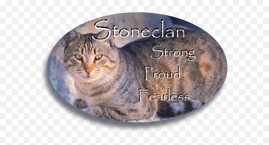 Stoneclan - The Proud And Fearless 4clan Rp Open Emoji,Emotion Spitfire 9 Ocean