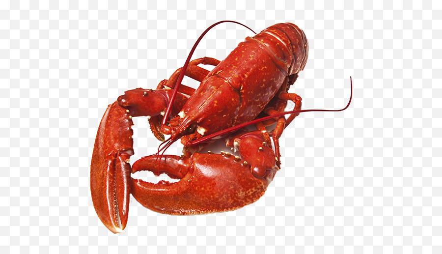 Lobster Png Images Emoji,Lobster Emojii