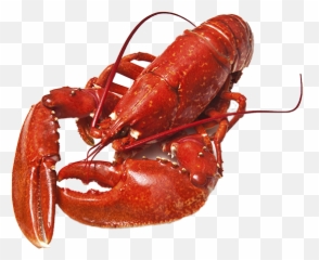 Lobster Png Images Emoji,Lobster Emojii