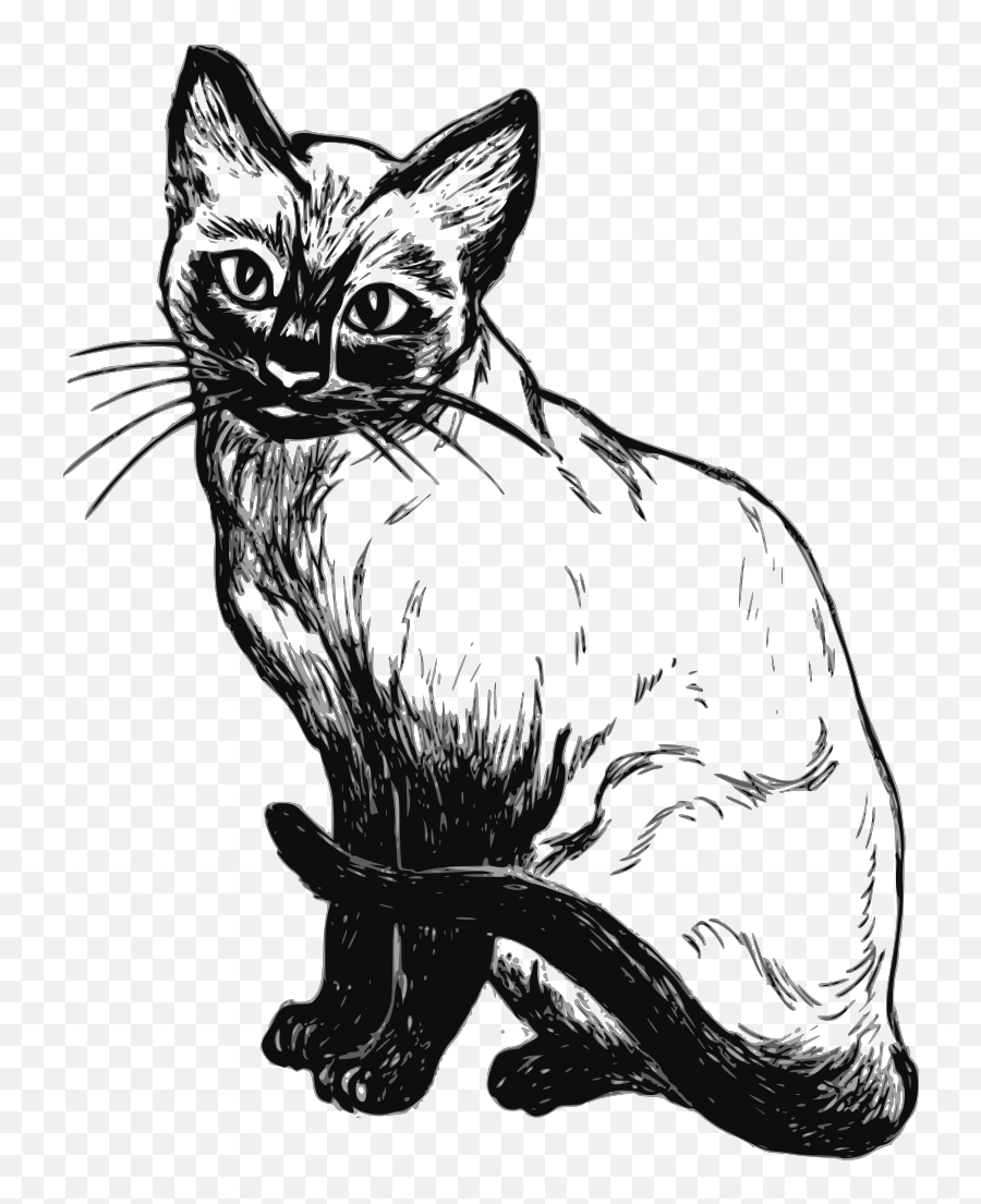 Siamese Cat Drawing Png Svg Clip Art For Web - Download Emoji,Cat Walking Emoji
