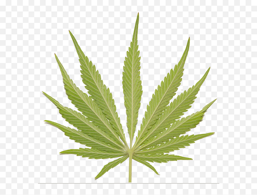 Weed Leaf Psd Official Psds - Feuille De Cannabis Bleu Emoji,Weed Sign Emoji