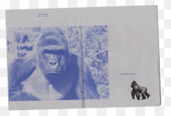Art Imitates Life - Harambe Sad Emoji,Gorilla Emoji