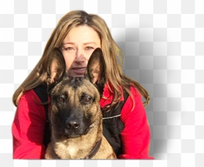 Dogsports4u - Collar Emoji,Dog Development Emotions