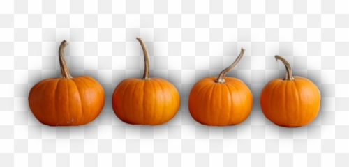 Largest Collection Of Free - Toedit Segar Stickers Gourd Emoji,Pumpkin Emoji Iphone