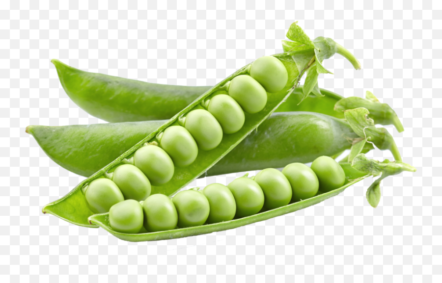5 Things You Should Never Say To A Vegetarian - Peas Png Emoji,The Meanings Of The Burrito Emojis On Snapchat