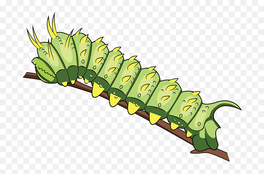 Syssphinx Hubbardi Caterpillar Clipart - Caterpilaar Clipart Emoji,Purple Caterpillar Emoticon