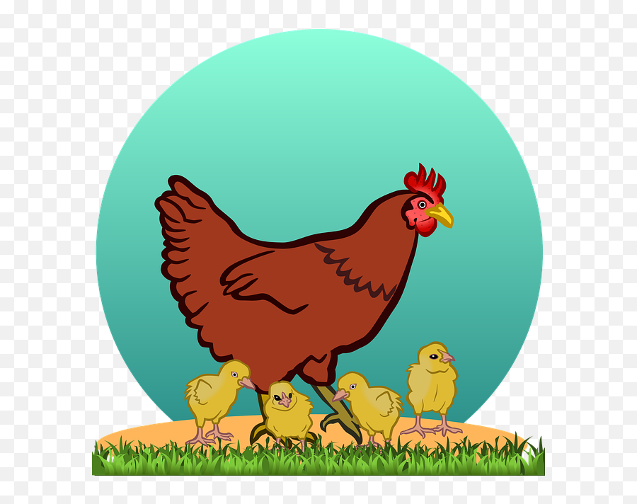 Hen With Chicks - Hen Clipart Transparent Emoji,Facebook Emotions Chickens