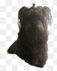 The Most Edited Toto Picsart - Toy Dog Emoji,Mini Schnauzer Emojis