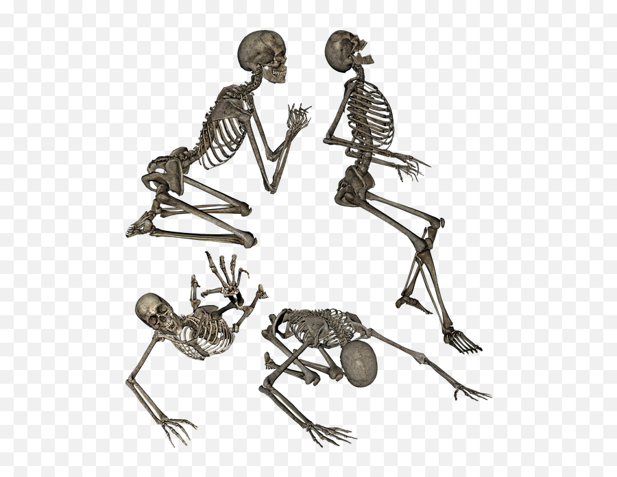 Free Photo Human Praying Skeleton Crawling Anatomy - Skeleton Png Memes Emoji,Praying On Human Emotion