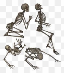 Free Photo Human Praying Skeleton Crawling Anatomy - Skeleton Png Memes Emoji,Praying On Human Emotion