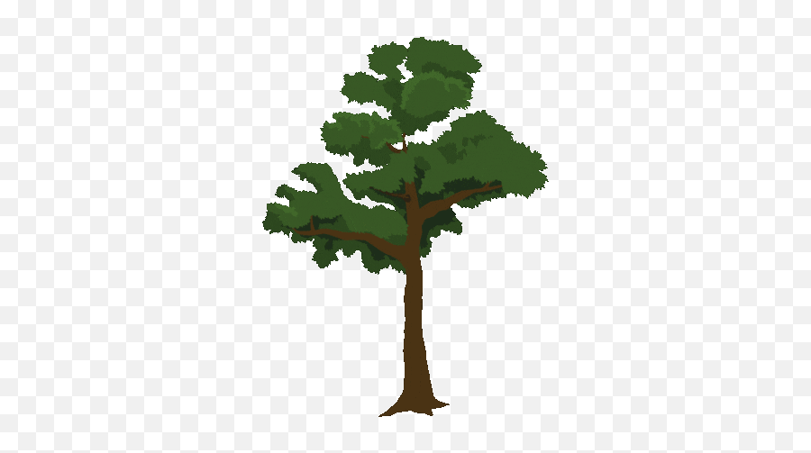 Fir Tree Sticker By Kew Gardens For Ios U0026 Android Giphy In Emoji,Cute Japanese Emoticons Flower