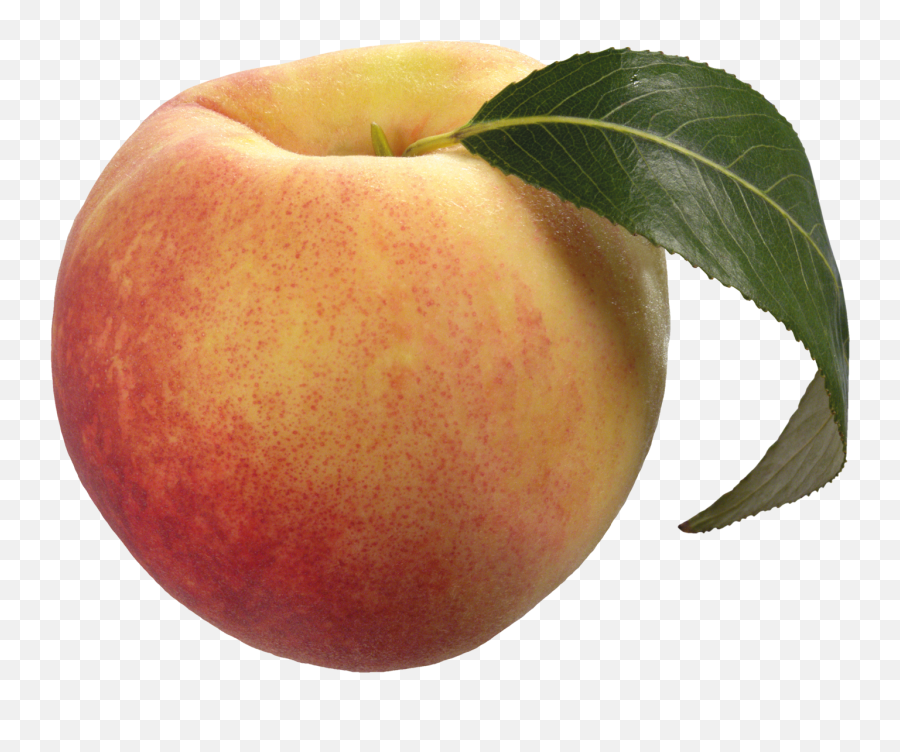 Free Peach Transparent Download Free - Peach Clipart With Transparent Background Emoji,Peach Emoji Png