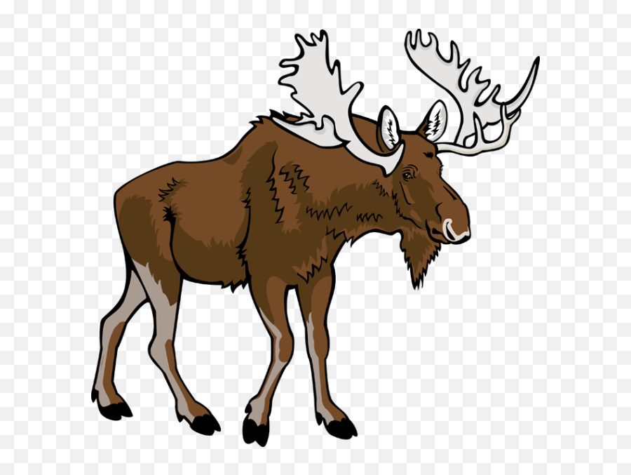 Moose Clip Art Vector Moose 6 Graphics - Moose Clipart Png Emoji,Moose Emoji