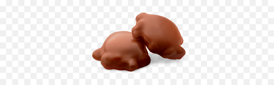 Home - Demetu0027s Turtles Types Of Chocolate Emoji,Cruchy Chocolate Candy Shaped Like Emojis