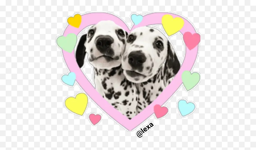 Sticker Maker - The Dog Dog Emoji,Dalmatian Emoticon