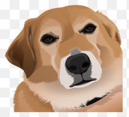 About Company U2014 Fu0026w Properties Emoji,Man,women,dog Walking Emoticon