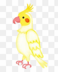 Cockatiel Amarillo Gráficos De Clipart Ilustraciones Y Emoji,Discord Cockatiel Emoji