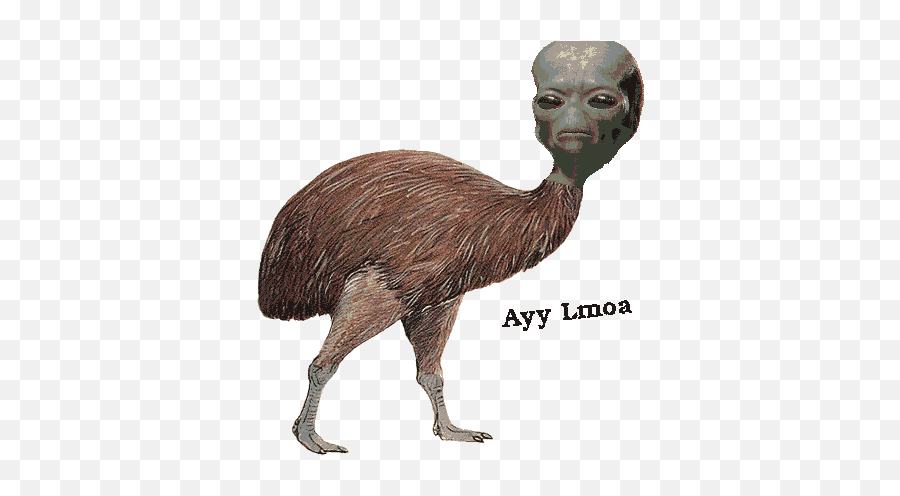 Dank Memes - Dank Meme Dungeon Dank Birds Emoji,Ayy Lmao Emoticon