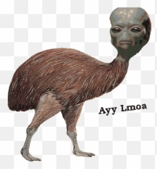 Dank Memes - Dank Meme Dungeon Dank Birds Emoji,Ayy Lmao Emoticon