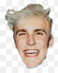 Jake Paul Meme Everdaybro Sticker - Jake Paul Savage Emoji,Jake Paul Made Of Emojis