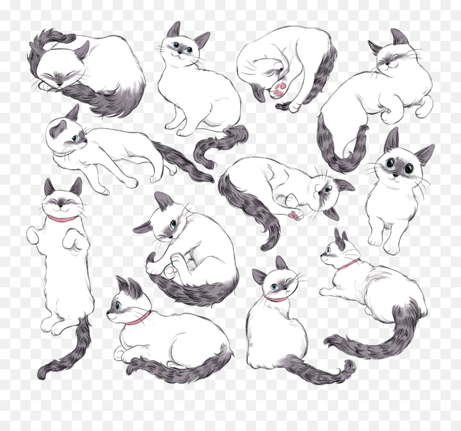 100 Modern Character Design Sheets You - Cat Character Expression Sheet Emoji,Emotions Drawing Reference Worksheet