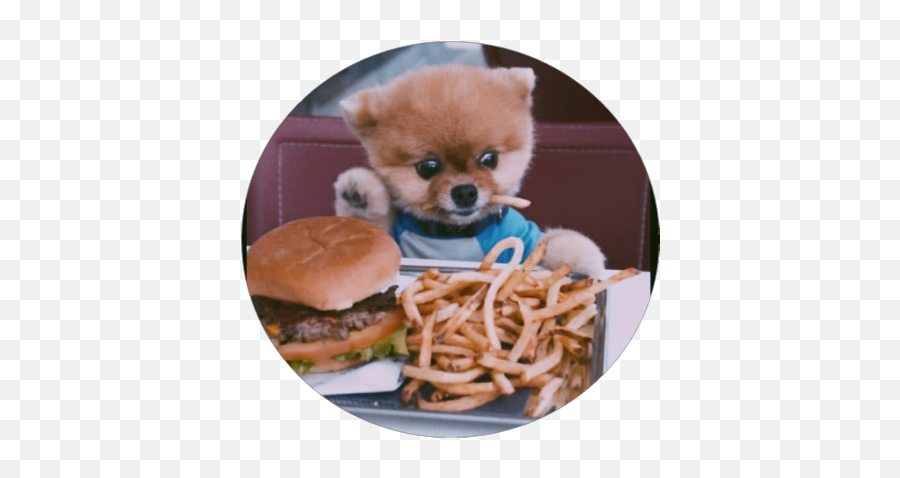 French Fries Sticker Challenge - Cute Puppys Having Fun Emoji,French Fry Emoji