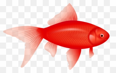 Fish Sticks Jpg Royalty Free Png Files - Red Fish Png Emoji,Clipart No Backs Transparent .png Format Emoticons