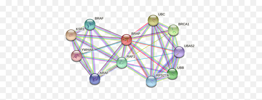 Brap Protein Human - String Interaction Network Emoji,Emotion Cr 2-