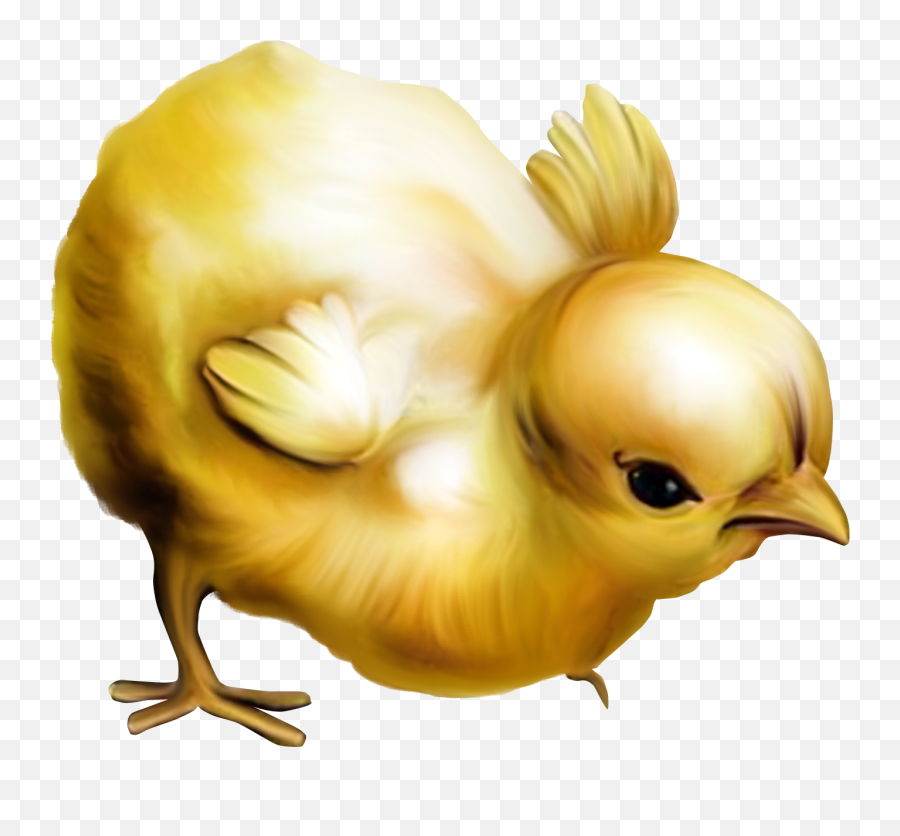 Abrakadabrafun Emoji,Shuba Duck Emojis