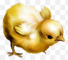 Abrakadabrafun Emoji,Shuba Duck Emojis