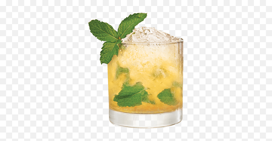 Jack Julep - Mint Julep Clipart Png Emoji,Drink Sunrise Emoji