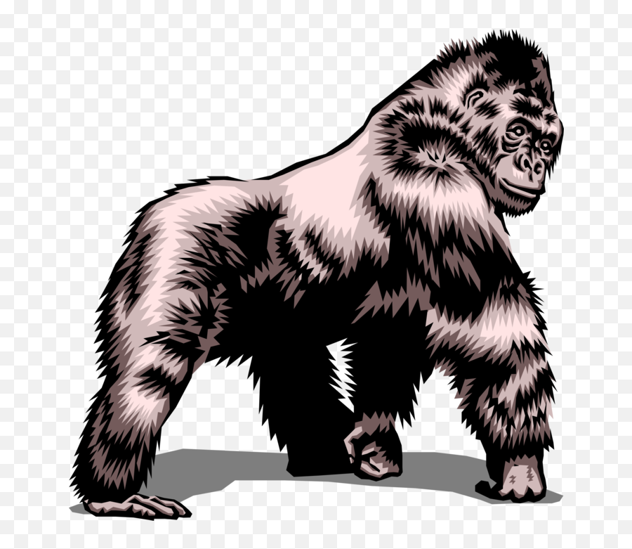 Vector Illustration Of Herbivorous Ape - Gorilla Walking Clipart Emoji,Gorilla Emoji