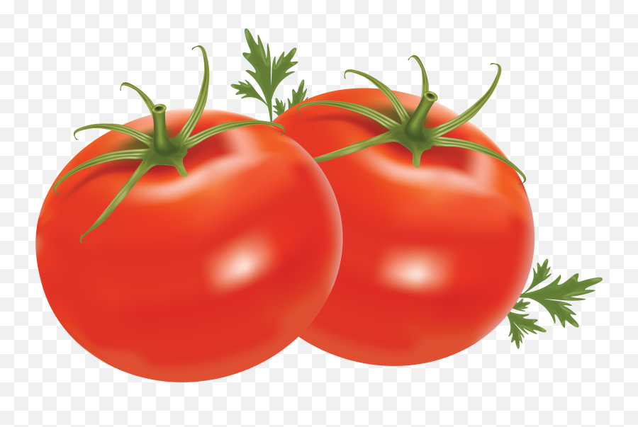 Tomatoes Free Png Transparent Tomato Png Clipart Free - Tomato Clipart Emoji,Find The Emoji Tomato