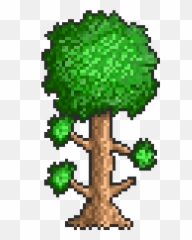 Senya - Discord Emoji Simón Bolívar Cali Park,League Of Legends Discord Emojis