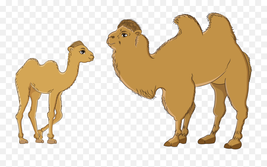 Mongolian Designs Themes Templates And Downloadable - Animal Figure Emoji,Camel Text Emoticon