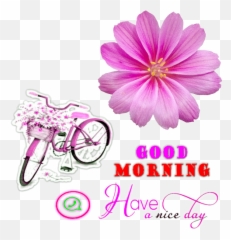 Morning Stickers Good Afternoon Wastickerapps 2021 App - Android Emoji,Emojis For Talkatone Android