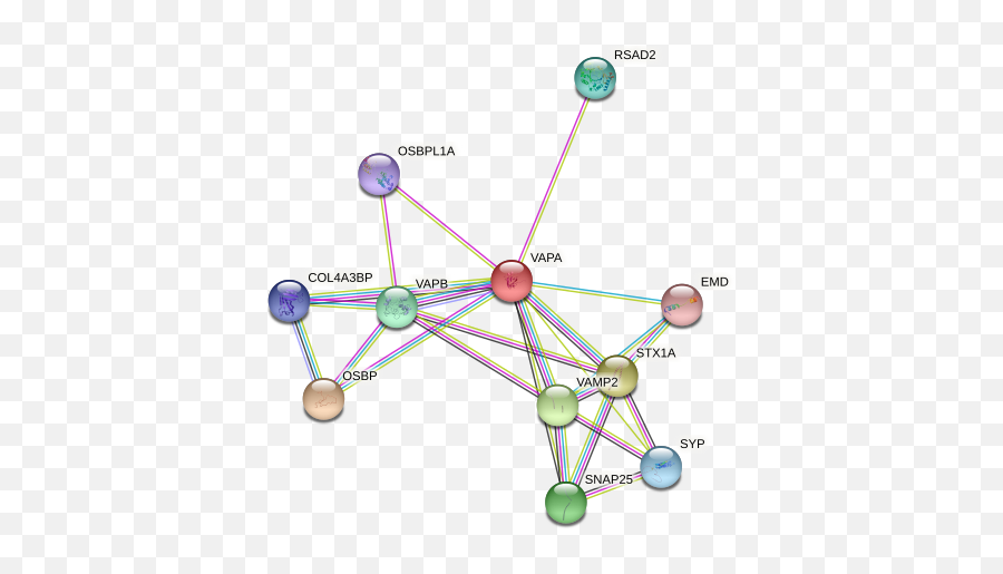 Vapa Protein Human - String Interaction Network Emoji,Secrete Emojis Msp