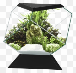 Nexus 5c Betta Life - Aquarium Betta Nexus Emoji,Fiskar Emotion
