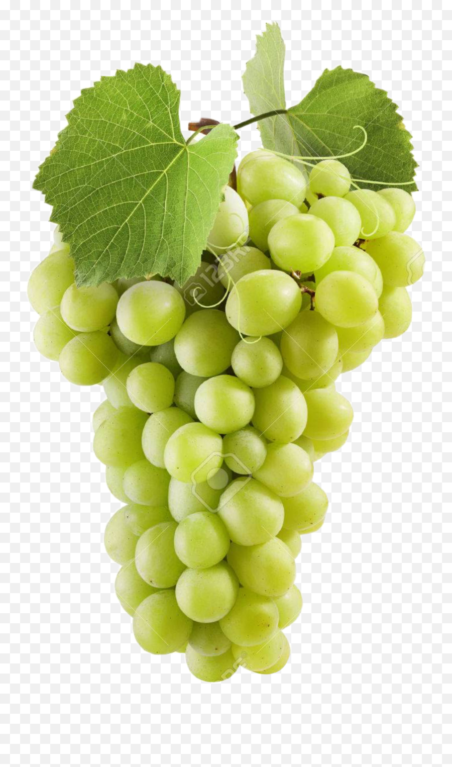 The Most Edited Grapes Picsart - Green Grapes Emoji,Green Grape Emoji
